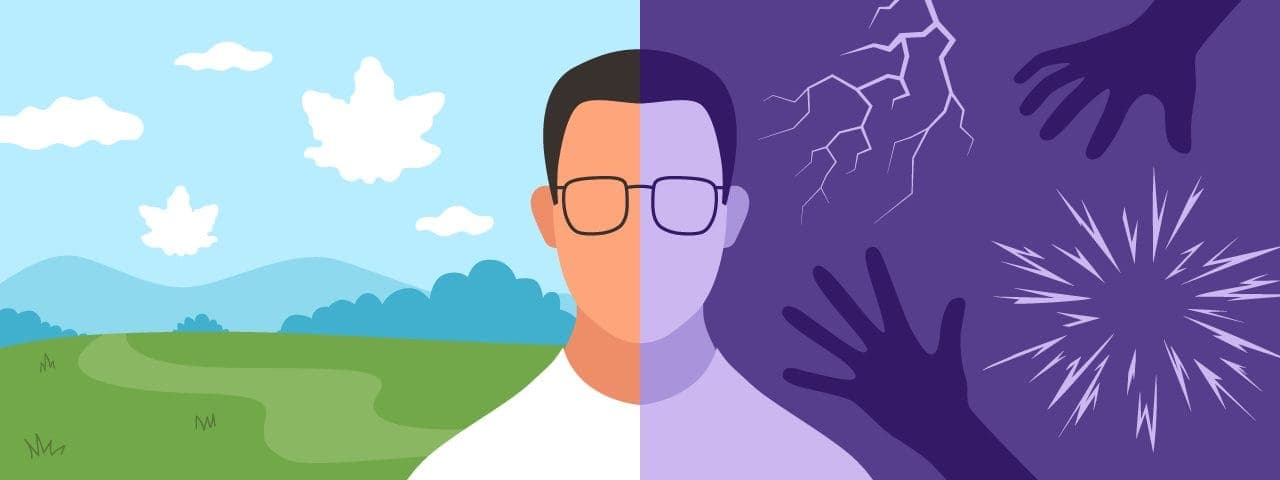 Illustration of a man's face split in half. To the right, there are icons of hands and explosions, representing PTSD triggers. On the left, a peaceful background with green grass, a blue sky, and cannabis-shaped white clouds, representing PTSD treatment with cannabis.