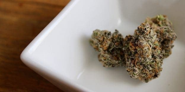 cannabis